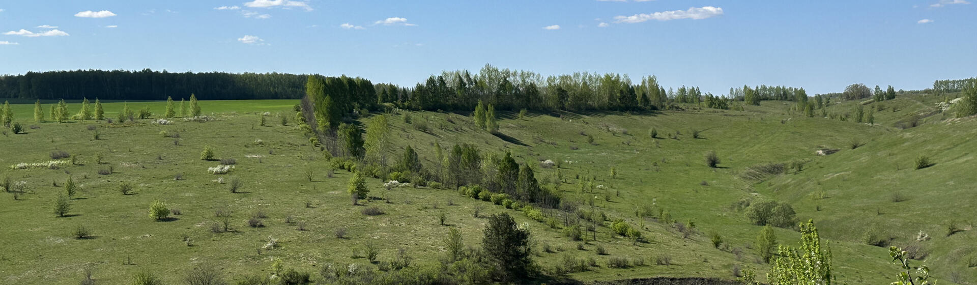 Полибино - Достопримечательности